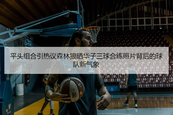平头组合引热议森林狼晒华子三球合练照片背后的球队新气象